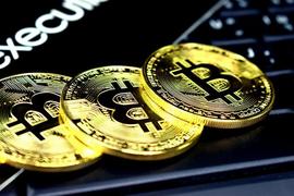 TOS:什么是比特币？与法币的6个最大差异_数字货币局