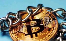 MSC:打破虚拟与现实的壁垒，盛大公链架起数字与实体企业的桥梁_区块链怎么入手