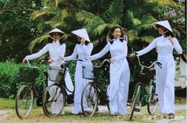 :越南一“奇特现象”，街头摆放成捆人民币，为什么却没人敢去抢？_