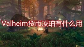ING:《Valheim》货币琥珀作用介绍_OIN