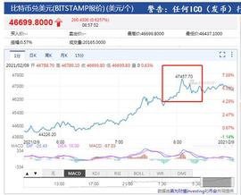 CHE:比特币首次站上4.7万美元 一枚比特币能换一斤半黄金_马斯克币圈最新