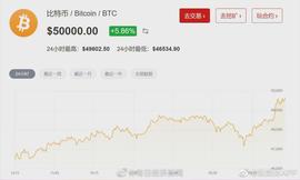 BSN:刚刚，比特币涨破50000美元关口！牛市女皇：看高到40万美元！_defi币是什么
