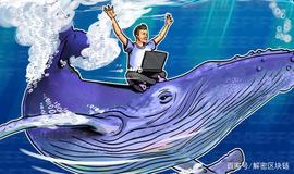 COI:比特币（BTC）已达到50000美元以上，但比特币鲸鱼的数量仍在增加_BTC