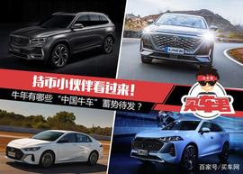 COI:持币小伙伴看过来！牛年有哪些“中国牛车”蓄势待发？_OIN