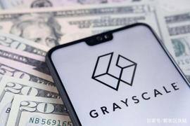 RAY:在竞争日益激烈的比特币投资中，Grayscale开始关注Altcoins_AYS