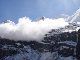 狗狗币:一则传闻引发的比特币雪崩？_加密货币