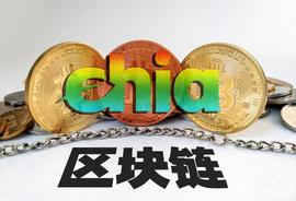 DIG:显卡之后是硬盘！矿工疯抢硬盘挖奇亚币，硬盘价格迎来大涨_Digix Gold Token