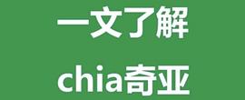 比特币:什么是chia？OKEx副总裁徐坤深度解读热门项目Chia_DOG