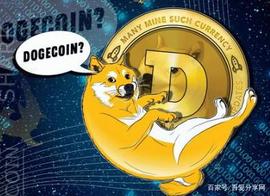 DOGE:DOGE是狗狗币吗?狗狗币是期货吗?_比特币