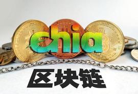 区块链:chia币爆火，硬盘价格飙升，火遍币圈的Chia到底是什么？_CHI