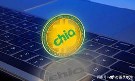 COI:浅谈Chia（奇亚）挖矿的机遇与风险_Zynecoin