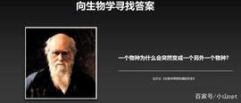 INTER:参加完创业者社群的线下分享，我有哪些思考？_TERN