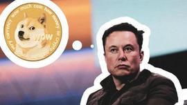 狗狗币:狗狗币，也许只是一场击鼓传花的游戏_加密货币