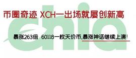 区块链:币圈奇迹XCH一出场就屡创新高，暴涨263倍 ，60118一枚天价币_BTCPEP
