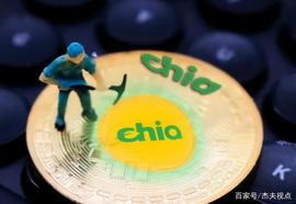SSD:显卡爆炒之后是硬盘？奇亚币上市价格飙升，SSD挖矿40天就坏_Rodeo Coin