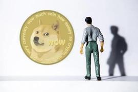 狗狗币:月涨10倍的“狗狗币”是币圈的“昙花一现”，还是“异军突起”？_比特币钱包哪个最安全可靠