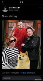 DOG:因嘲讽比特币诞生 狗狗币再创历史新高！马斯克一路吹爆_BankerDoge