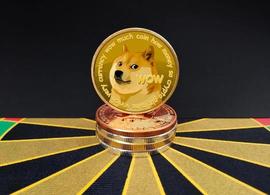 加密货币:“屎币”日涨236%，狗狗币6个月涨近250倍！马斯克承认是“局”_马斯克