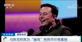 马斯克:闪崩！狗狗币暴跌超30%！“第四大加密货币”曾一年暴涨200倍，为何走出魔幻路线？_加密货币