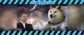 马斯克:揭秘｜暴跌39%，狗狗币雪崩式狂泻！马斯克“承认”了：它就是局！_ltc减半狗狗币也减半吗