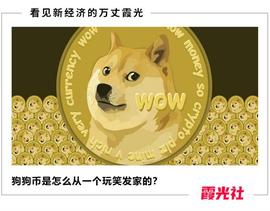 KUS:狗狗币，玩笑梗图到百亿货币的发展史_数字货币被过程聊天记录