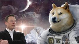 比特币:狗狗币一飞冲天，是时候了解它_加密货币市场最新消息分析
