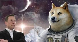 FXS:狗狗币究竟是何方神圣？_加密货币