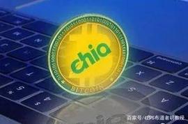 马斯克:（中币）黑马Chia来袭，XCH奇亚爆涨65%！_什么是比特币工厂