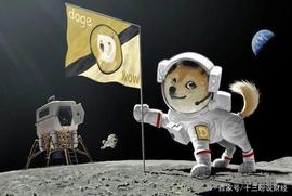 DEFI:三问狗狗币：从哪里来、凭啥火到出圈、风险几何?_COM