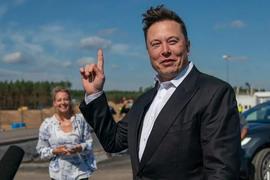 SEC:反复变脸？马斯克一句话，比特币坐过山车！爆完多头爆空头？是否涉嫌操纵市场？_马斯克