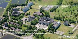 RIN:柠檬SGU|日本国际大学IUJ怎么样?_LICK价格