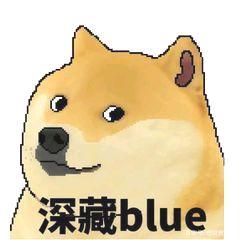 ETP:带你了解“狗狗币”_ETPP币