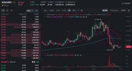 VEN:“空气换大饼”事件再现，Venus创始团队退出系币安子公司，BSC用户担忧链上借贷协议风险_CAN