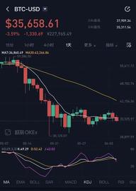 狗狗币:3000万元遭强平！10万转眼变180！虚拟货币投资者讲述暴富梦碎_300