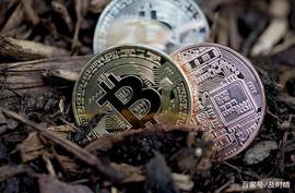 羊驼币:三个事件导致比特币的“信仰”崩塌，市场开始充满疑问_DEFI