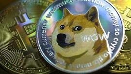 ROB:美国互联网券商Robinhood：狗狗币占第一季度加密货币营收的34%_SCOOBI