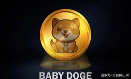IDO:Baby doge自6月上线后在币圈爆火，马斯克成为代言人！未来可期！_宝贝狗币官方最新信息