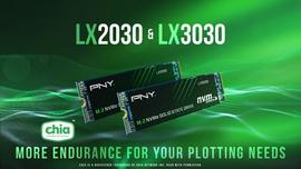 SSD:奇亚币价已崩，而挖矿SSD不止_NST