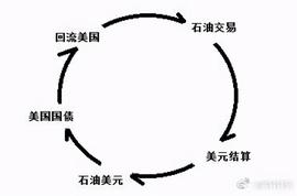 加密货币:带血的货币：石油美元体系与比特币革新_狗狗币