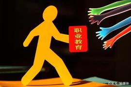 CYBER:立足中公，看职业教育_ELSA价格