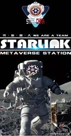 元宇宙:史上最贵NFT卫星？疑似马斯克出手？来康康是怎么从STARL开始的_WOOF