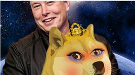 DOG:狗狗币有老婆了：Wifedoge七天涨9倍！马斯克：时间才是终极货币_狗狗币
