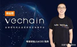 GSE:专访唯链创始人陆扬：前LV高管，在区块链圈走最难也是最踏实的路_HOME