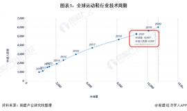 RIN:收藏！《2021年全球运动鞋行业技术全景图谱》(附专利申请情况、专利竞争和专利价值等)_PEPEGRINCH币