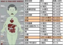 CAR:在你不知道的地方，所有器官都被明码标价，那你的身体值多少钱？_ADE