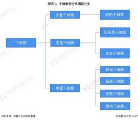 SEA:预见2022：《2022年中国干细胞医疗产业全景图谱》(附产业链现状、市场竞争格局和发展前景等)_ARC