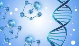 API:小红书千万元领投低温肉制品品牌；字节跳动战略投资新药研发平台｜投资速递_Akita DAO