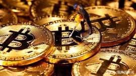 加密货币:Bitcoin再创新高 美国75%受访者辞职炒币_COI