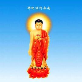PHA:接纳了自己，就会被世界接纳_MetaMask官方下载