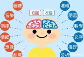 TTE:孩子平时有这2个习惯，说明右脑发达，栽培好更容易出人头地_Hive Vault